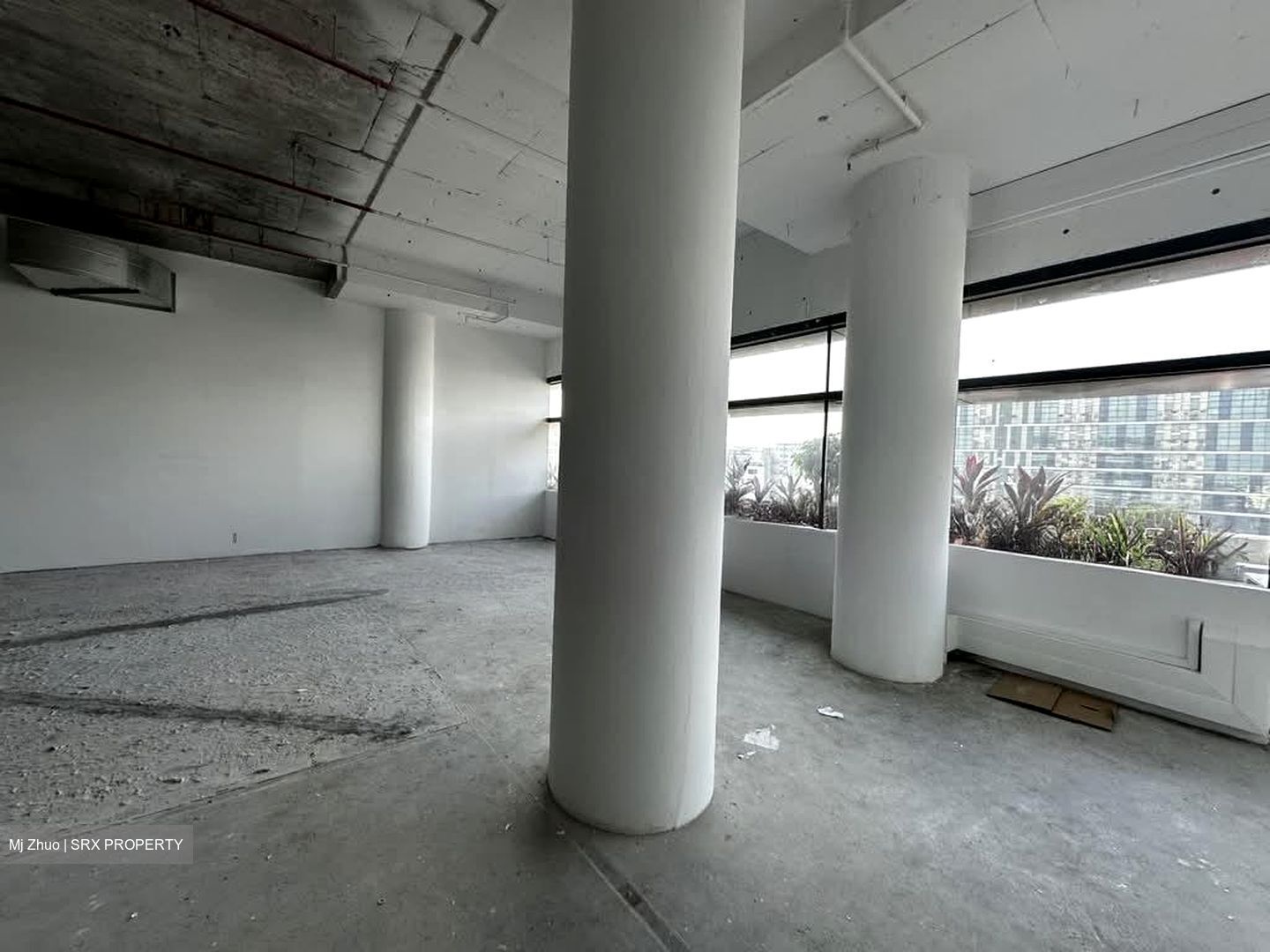 Breadtalk (D19), Warehouse #551127821